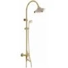 Antique Gold Style Curved Spout & Shower Column 1 Antique Gold Style Curved Spout & Shower Column -Bathroom Supplies Store 28355433 1