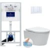 Villeroy & Boch Toilet Set Frame + Swiss Aqua Technologies Rimless Toilet + Chrome Flush Plate (ViConnectSATrimless-1) 1 Villeroy & Boch Toilet Set Frame + Swiss Aqua Technologies Rimless Toilet + Chrome Flush Plate (ViConnectSATrimless-1) -Bathroom Supplies Store 39644834 1