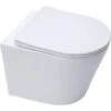 Swiss Aqua Technologies Infinitiorimless Wall-hung Toilet With Invisible Fixings + Softclose Seat (Infinitiorimless) -Bathroom Supplies Store 41375423 1