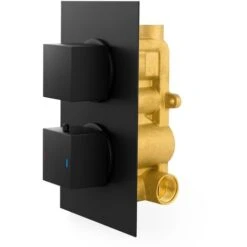 2 Dial 1 Outlet Concealed Thermostatic Shower Square Refined Valve - Matte Black -Bathroom Supplies Store 51419986 5