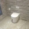 Back To Wall Toilet Ceramic Pan Cloakroom Soft Close Seat Bathroom WC Modern BTW -Bathroom Supplies Store 63680798 1