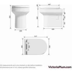 Orchard Wharfe Rimless Back To Wall Toilet And Wrapover Soft Close Toilet Seat -Bathroom Supplies Store 81850771 3