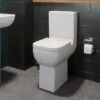 Amelie Comfort Height Toilet & Soft Close Seat 2 Amelie Comfort Height Toilet & Soft Close Seat -Bathroom Supplies Store 8755905 1
